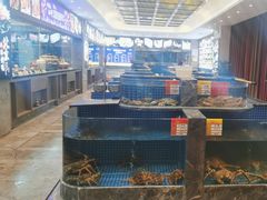 -骏莱海鲜鱼港(五角场店)