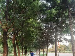 -汉长安城未央宫国家考古遗址公园