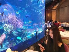 -迪拜帆船酒店海底餐厅