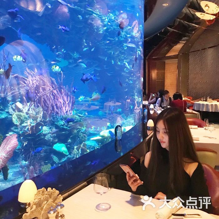 迪拜帆船酒店海底餐厅图片-北京法国菜-大众点评网