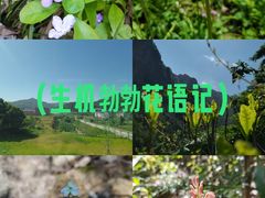 -雁荡山风景名胜区