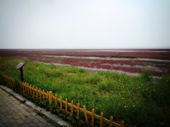 -红海滩国家风景廊道