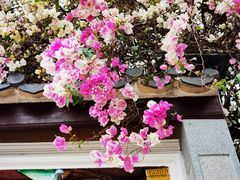 -深圳国际园林花卉博览园