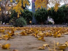 -四川大学(望江校区)