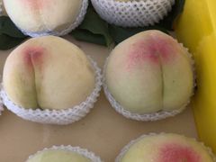 -老袁家蜜桃农场·阳山水蜜桃