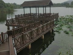 -上海市保健医疗中心(华东疗养院)