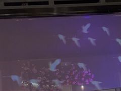 -悦慕·花满溪(新城吾悦店)