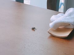 -旨味Umami_融合料理(万博汇店)