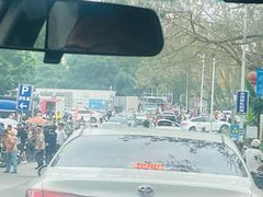 -广东惠东海龟国家级自然保护区