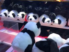 -汤姆熊欢乐世界(光启城店)
