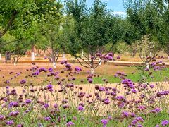 -汉长安城未央宫国家考古遗址公园