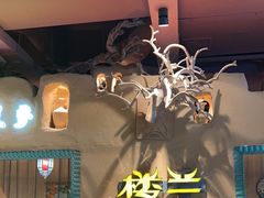 -驿楼兰·新疆菜(火车站店)