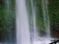 -龙苍沟森林公园