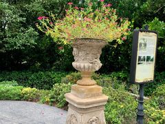 -新加坡植物园