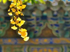 -潭柘寺景区