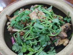 -华仔土鸡店(南洲分店)