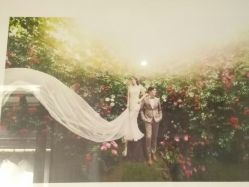 点击看大图 -韩国艺匠ARTIZ STUDIO(博览中心店)