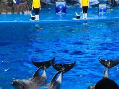 -多彩贵州城极地海洋世界