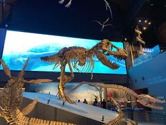 -贝林大翅鲸简餐厅(国家海洋博物馆店)