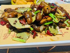 -鹊华居·地道鲁菜·海鲜·融合味(大明湖店)