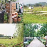 北京遛娃| 乐园、萌宠、果蔬采摘一站式农庄