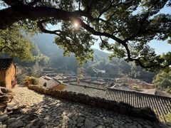 -杨家堂村