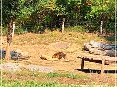 -北京野生动物园