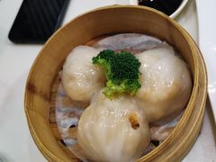 -禄興記香港大排档(歌斐中心店)