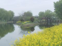 -泗洪洪泽湖湿地景区