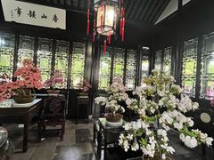 -上海醉白池公园