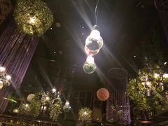 -胡桃里音乐酒馆(石家庄店)