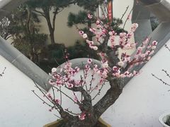 -檀园