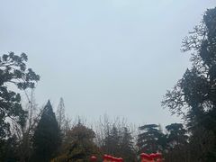 -迎春桥老炉烧饼(碧霞路店)