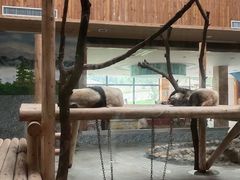-西安秦岭野生动物园