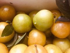 -呼吸森林·生态农庄农家乐私房菜