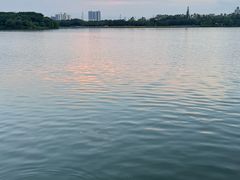 -海珠湖公园
