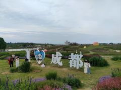 -空港花田景区
