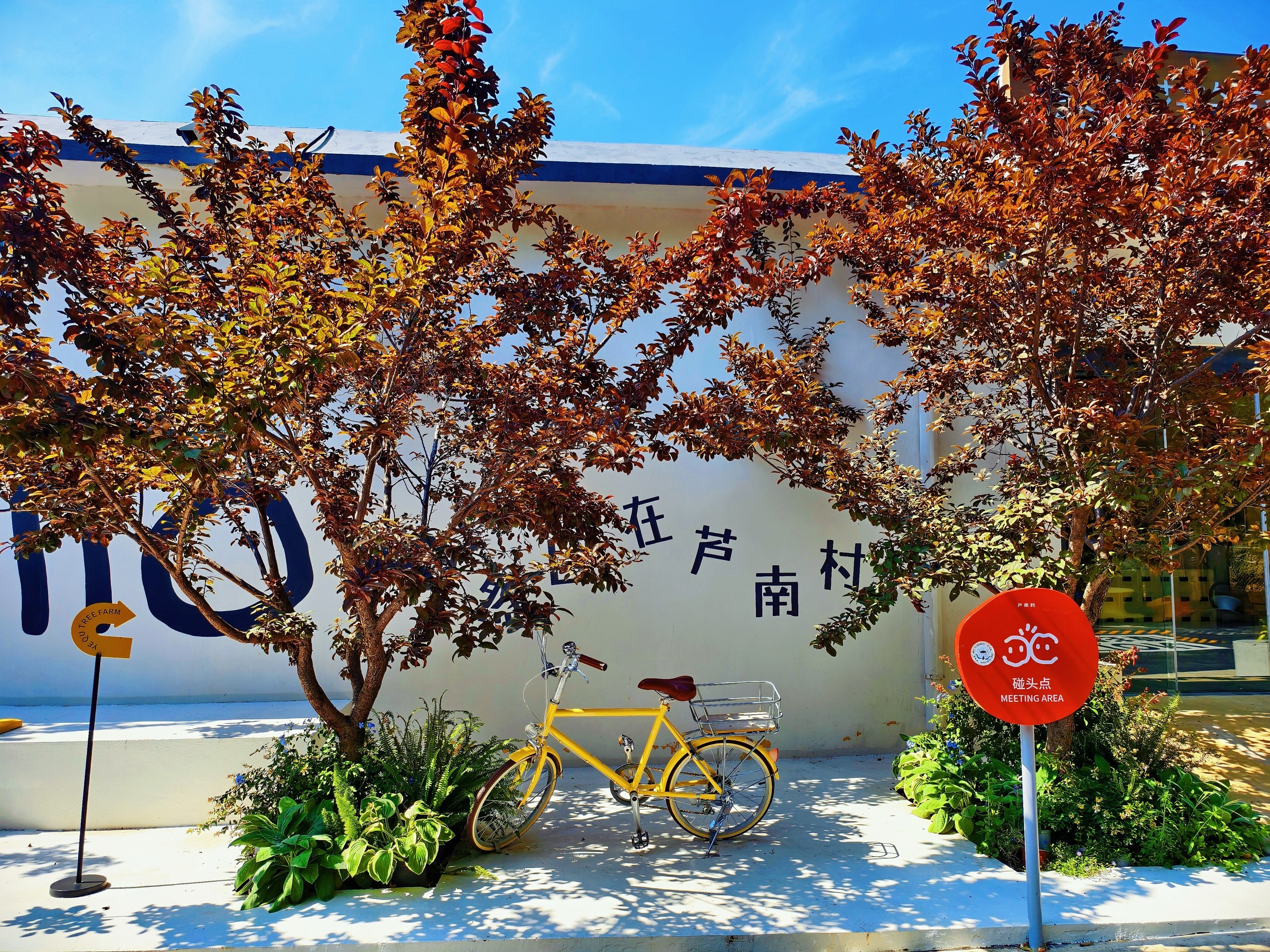 济南芦南村的农场