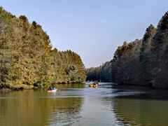 -上海海湾国家森林公园