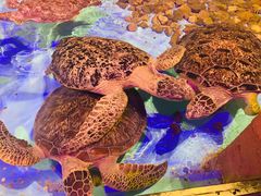 -波塞冬旅游度假区