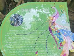 -西双版纳原始森林公园