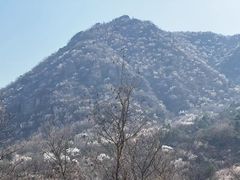 -北京鹫峰国家森林公园