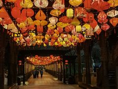 -淹城春秋乐园