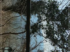 -灵顺寺