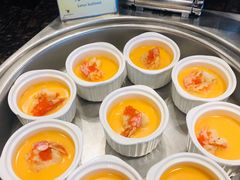 阿根廷红虾-温州王朝大酒店-自助餐厅