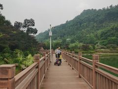 -桃花岭景区