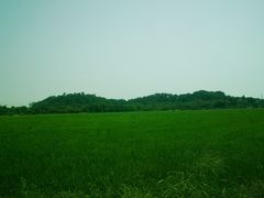 -崖口红树林海鲜餐厅