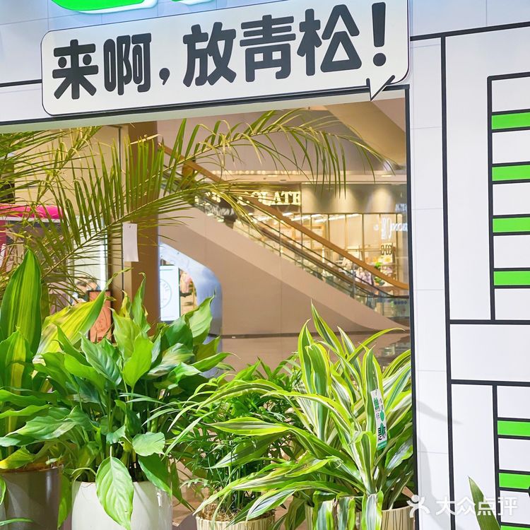 杭州探店|商场里的一抹绿|满满的春日气息
