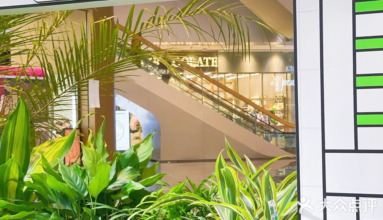 杭州探店｜商场里的一抹绿｜满满的春日气息