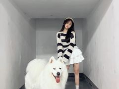 -翊宠yipet猫狗购宠庄园犬舍•猫舍